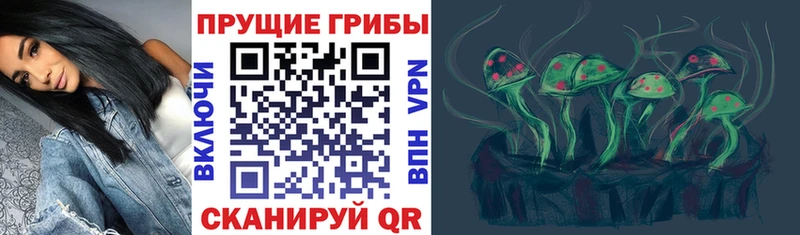 Галлюциногенные грибы Magic Shrooms  даркнет формула  Химки  кракен ссылки 