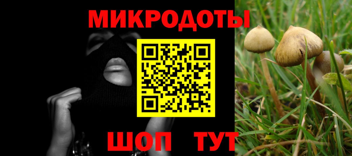 Химки  Псилоцибиновые грибы Cubensis  Вход с VPN 