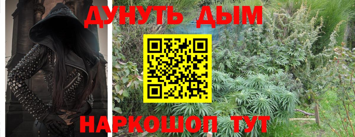 Бошки Шишки Bruce Banner Химки
